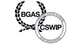 BGAS-CSWIP